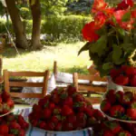 Festivalul Căpșunilor, în Parcul Izvor. FOTO: puterea.ro