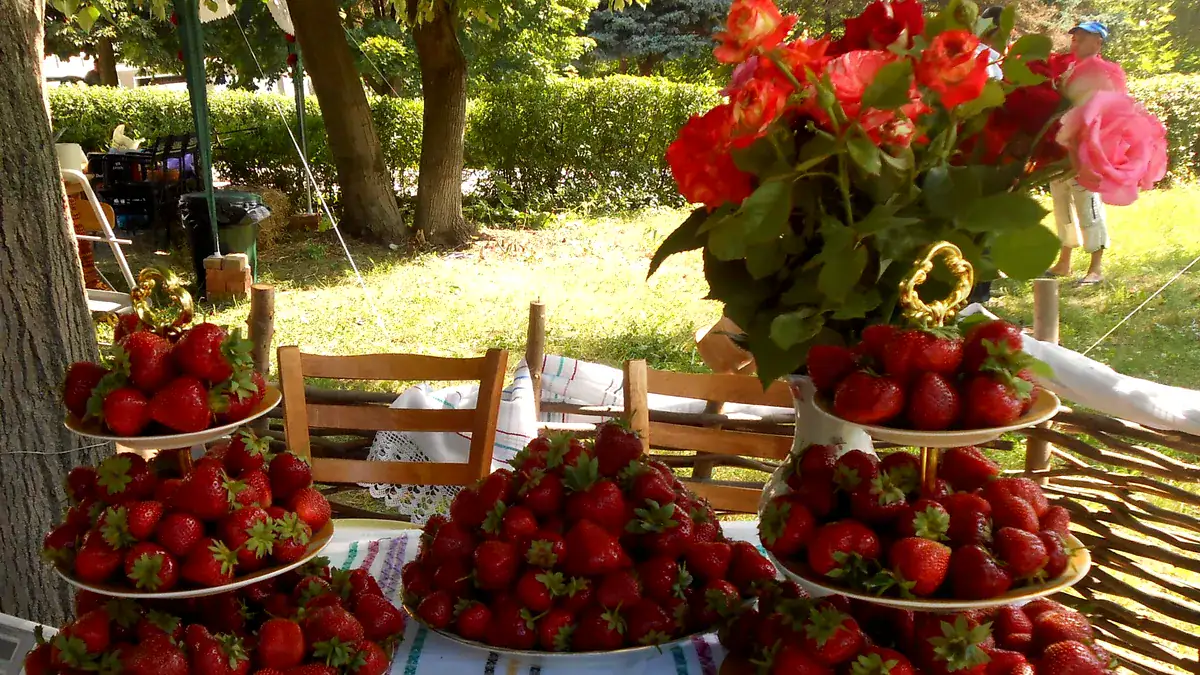 Festivalul Căpșunilor, în Parcul Izvor. FOTO: puterea.ro