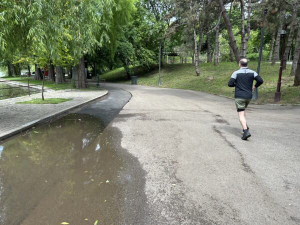 Negoiță ia în calcul mutarea pistei de alergare din IOR: „Noi acolo intrăm cu mașinile”