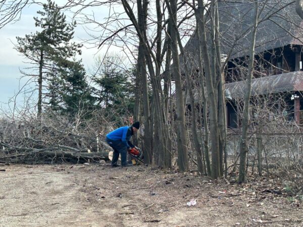 Un proces în care a fost implicată Maria Cocoru, fosta proprietară a zonei retrocedate din IOR, se va judeca astăzi. Foto: Arhivă via Cătălin Anghel-Dimache