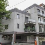 minciună a lui Simion