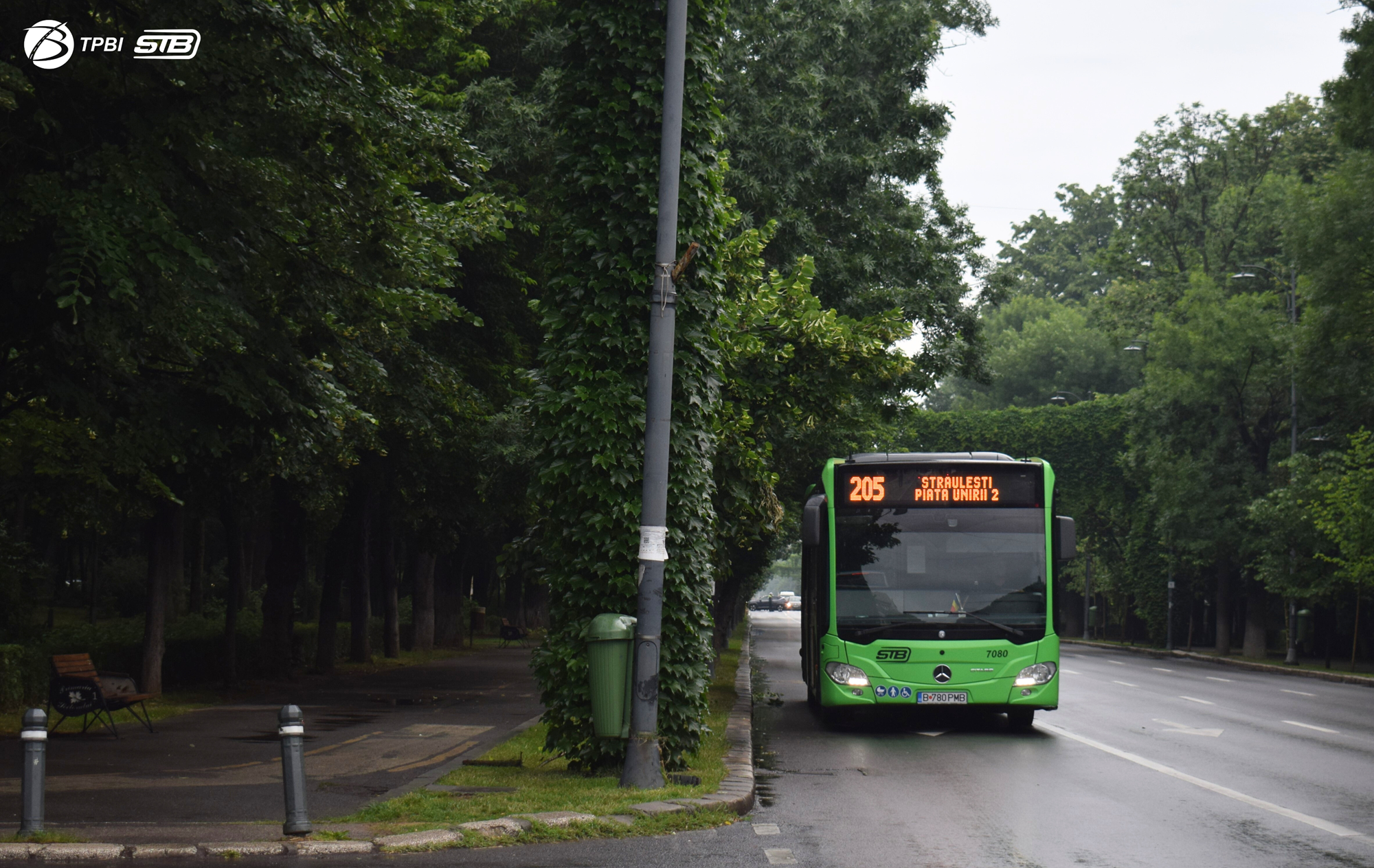 „Spotlight – Festivalul Internațional al Luminii București” restricționează traficul în perioada 10-12 octombrie. FOTO: TPBI