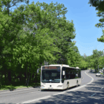 Liniile 282 și N120 vor fi deviate pe Strada Maior Vasile Băcilă în weekendul 6-9 iunie | FOTO: TPBI