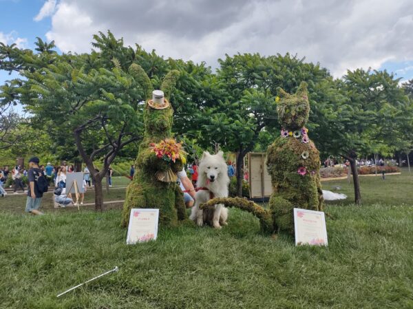 Bilanţ la final de West Side Flower Fest. Trei sute de mii de vizitatori, în weekend-ul festivalului. FOTO: PS6