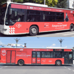 TPBI înființează o linie specială de autobuz pentru meciul de retragere al Cristinei Neagu | FOTO: TPBI