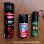 Jandarmeria Capitalei asigură că au fost luate măsuri în urma glumelor cu tentă sexuală de la Pride. Sancţiunile financiare, ţinute la secret. Foto: Jandarmeria Capitalei