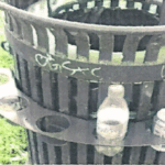 banii pe sticle și doze