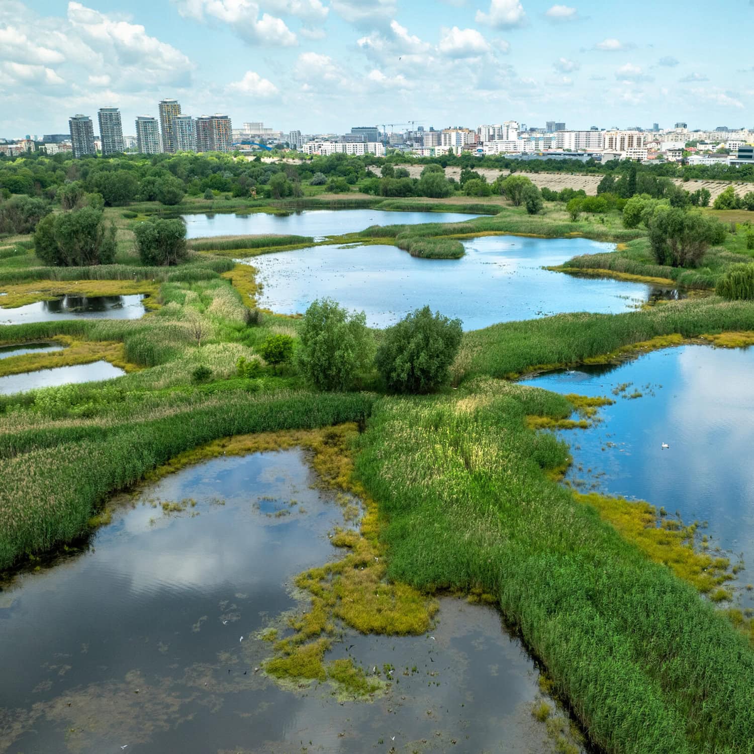 Dezvoltator blocat în instanţă să ridice un bloc lângă aria protejată. FOTO: FB / Administraţia Parcul Natural Văcăreşti