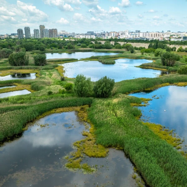 Dezvoltator blocat în instanţă să ridice un bloc lângă aria protejată. FOTO: FB / Administraţia Parcul Natural Văcăreşti