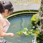 educație ecologică