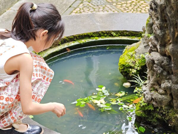 educație ecologică