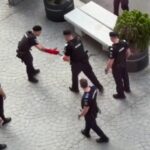 Şarpe găsit în Piaţa Victoriei. Captură foto: TikTok / Bianca2398