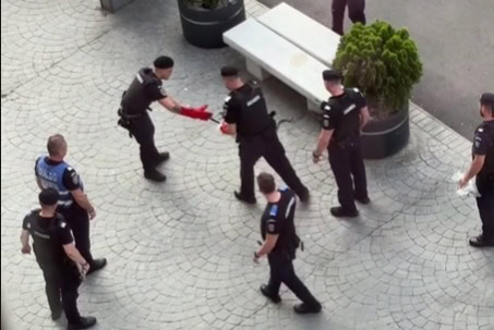 Şarpe găsit în Piaţa Victoriei. Captură foto: TikTok / Bianca2398