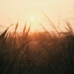 Cod galben de temperaturi ridicate. FOTO: unsplash.com