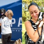  Târg de adopţii, în Parcul Izvor. Foto: FB/ ASPA București