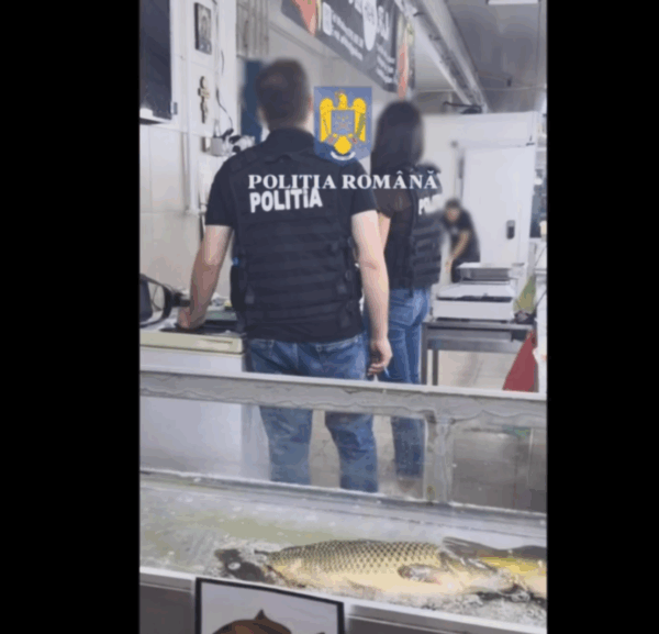 kilograme de pește