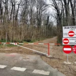 Zeci de organizații cer stoparea deschiderii drumului din Pădurea Băneasa pentru mașini
