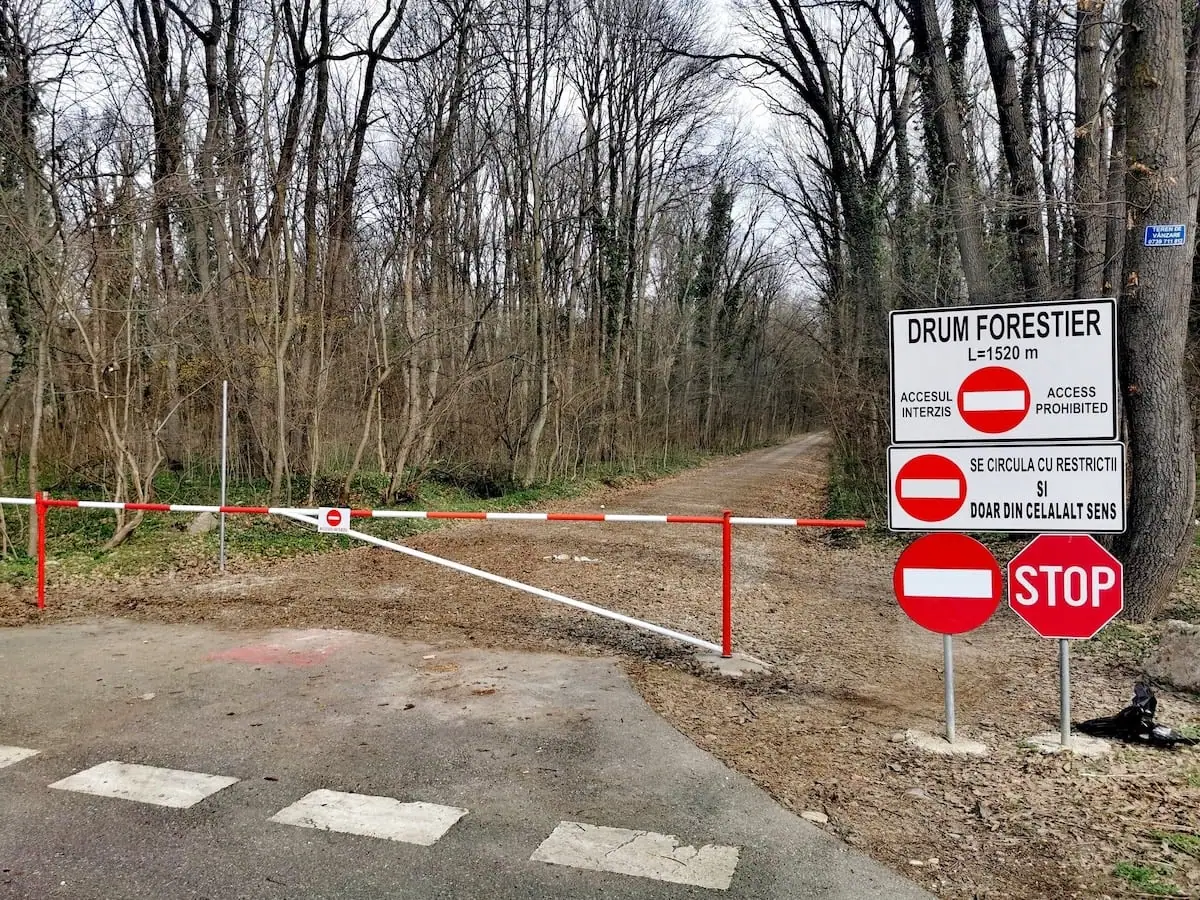 Zeci de organizații cer stoparea deschiderii drumului din Pădurea Băneasa pentru mașini