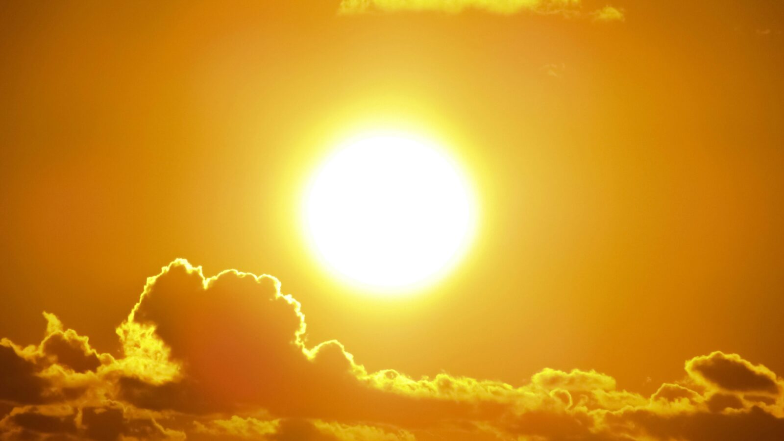 Caniculă și temperaturi ridicate în București