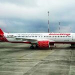 AnimaWings zboruri directe București - Londra Gatwick