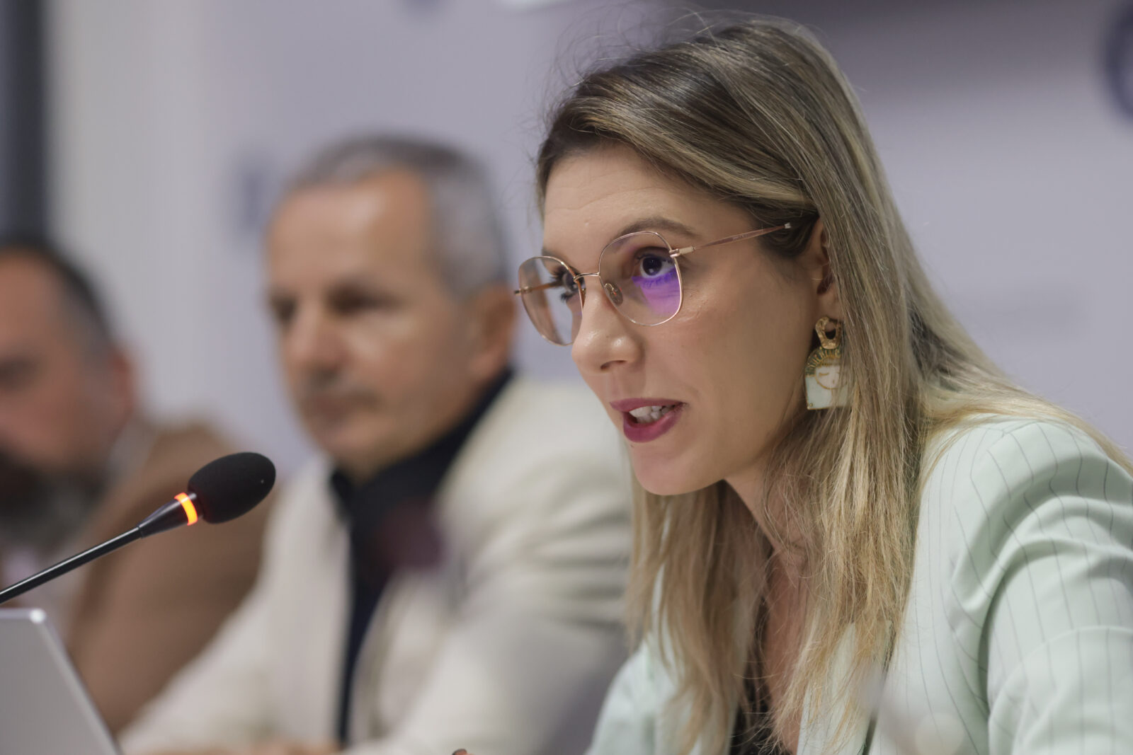 Ministra Mediului merge înainte cu „compromisul” pentru Pădurea Băneasa. Președintele Federației Greenfield este în aceeași filială USR