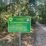 drumul forestier prin Pădurea Băneasa
