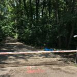 Drumul prin Pădurea Băneasa
