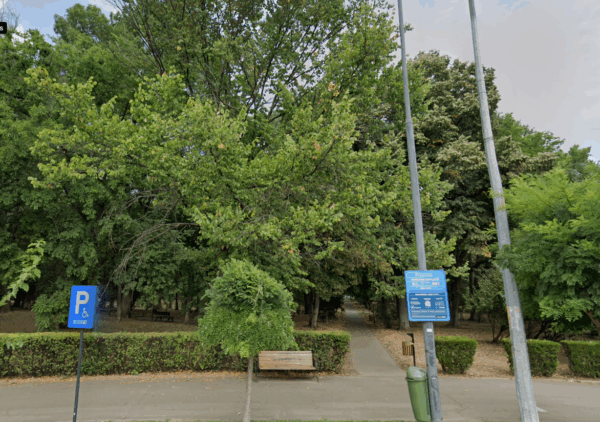 Sector 1 | Primăria renunță la proiectul „Lumina Park” din Kiseleff. Tuță: „Nu voi face niciodată bine cu forța”