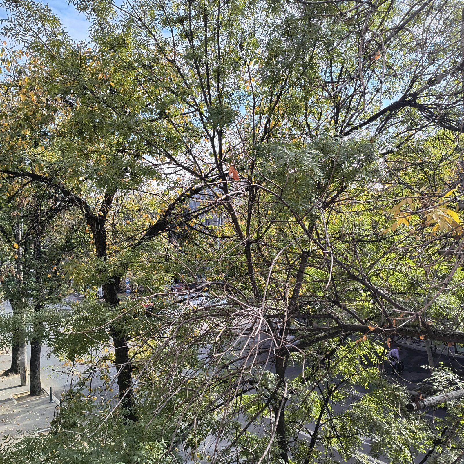 Vreme caldă, în acest weekend, la București. De săptămâna viitoare se răcește, din nou. FOTO: BdB