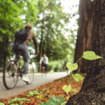 Pistă 100 km Popești-Leordeni și Cernica