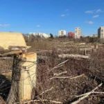 Cine este moștenitorul Mariei Cocoru, fosta proprietară a zonei retrocedate din IOR. Dosarele suspendate după deces au fost repuse pe rol. Foto: Arhivă via Cătălin Anghel-Dimache