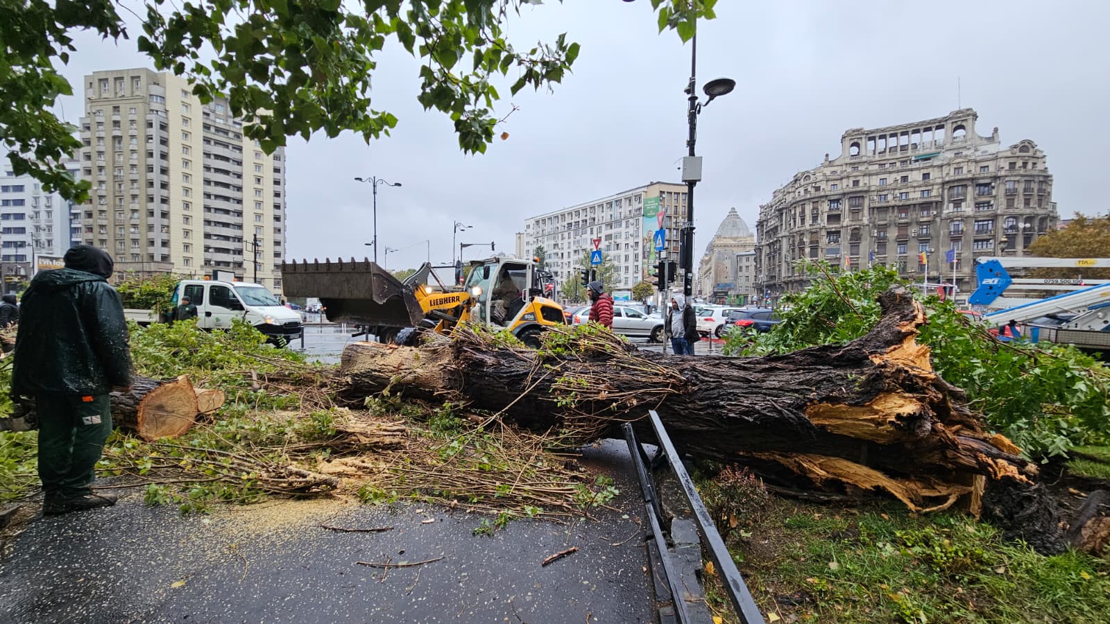 Furtuna a făcut ravagii