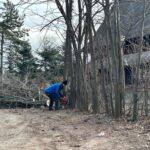 „Partidul lui Piedone” a propus amenzi mai mici pentru firmele care defrișează ilegal. Consilierii generali au fost de acord. Primăriile au liber la „toaletare” pe timpul iernii. Foto: Arhivă via Cătălin Anghel-Dimache