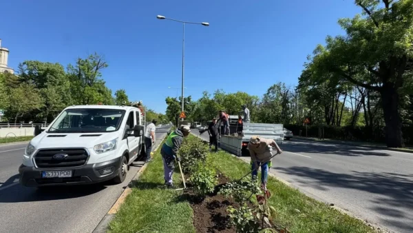 O firmă implicată în amenajarea Parcului Liniei va planta 92.000 de bulbi în Militari și Crângași.