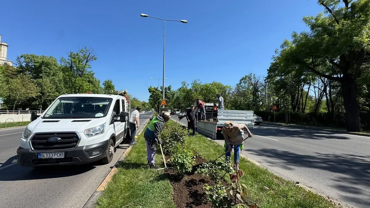 O firmă implicată în amenajarea Parcului Liniei va planta 92.000 de bulbi în Militari și Crângași.