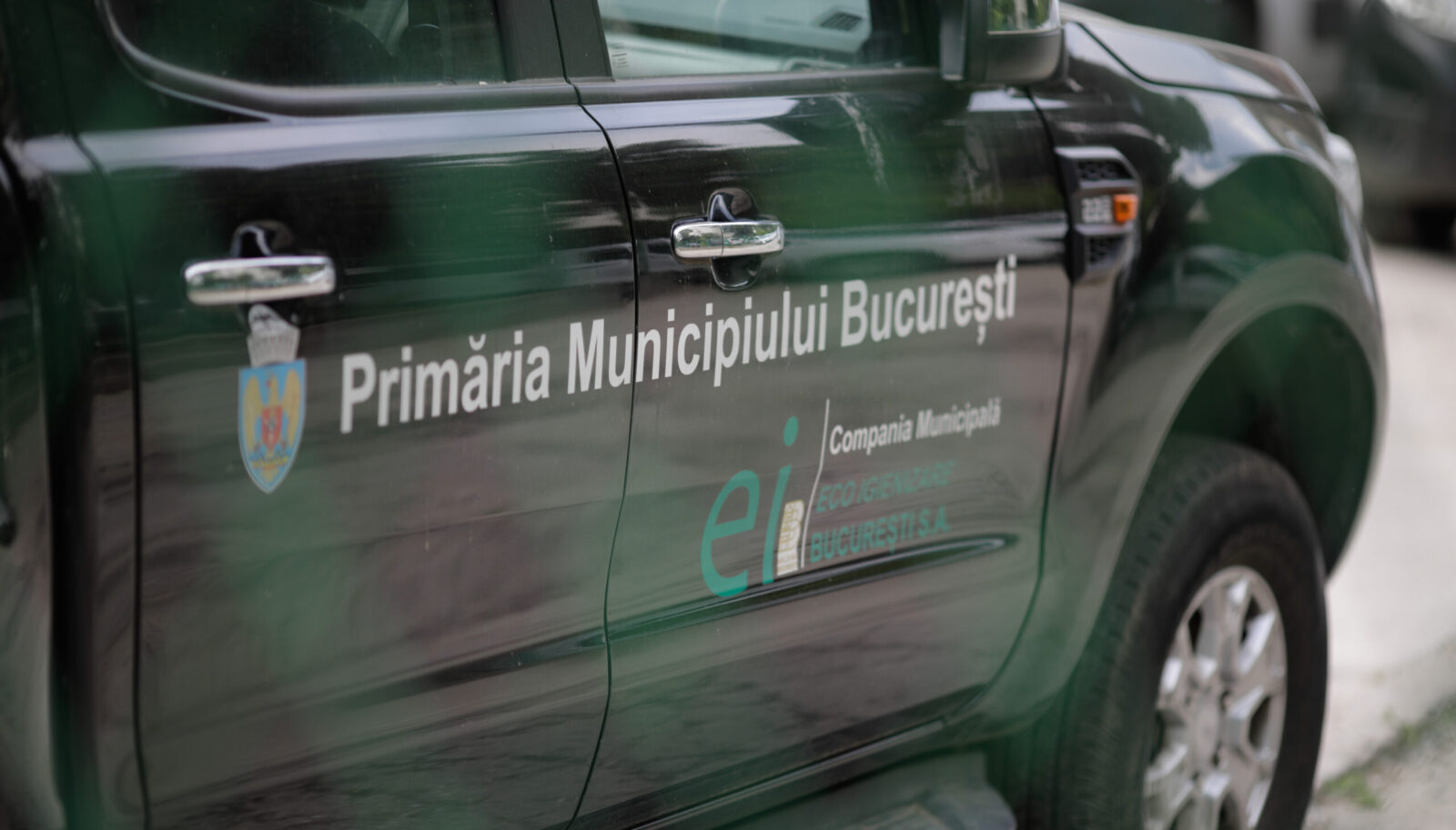 Cum pot beneficia bucureștenii de tratatmente de dezinsecție, dezinfecție și deratizare. FOTO: Inquam Photos / George Călin