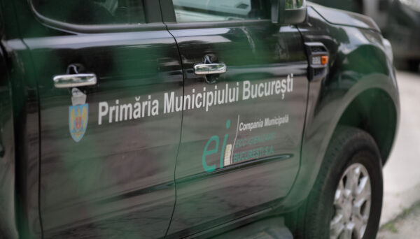 Cum pot beneficia bucureștenii de tratatmente de dezinsecție, dezinfecție și deratizare. FOTO: Inquam Photos / George Călin
