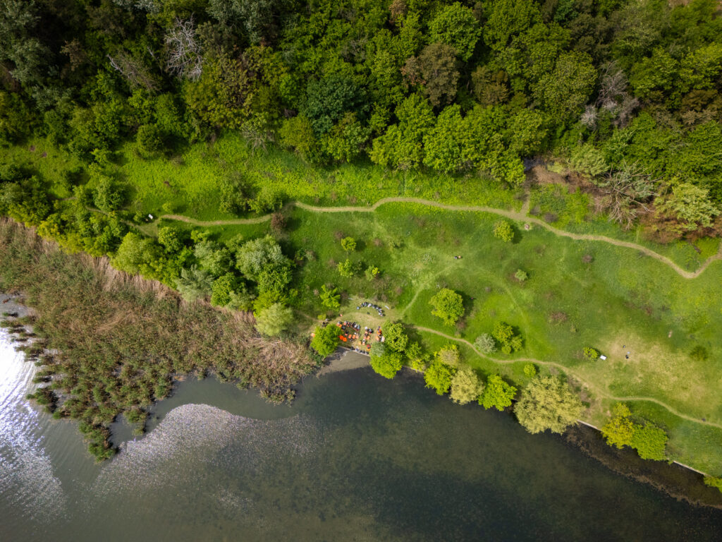 Asociația Parcul Natural București propune cinci proiecte de mediu pentru viitorul primar