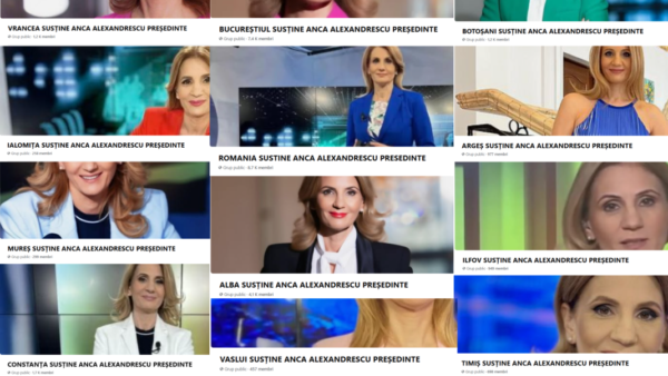Peste 130 de conturi vietnameze amplifică imaginea candidatei la PMB | PublicRecord.ro