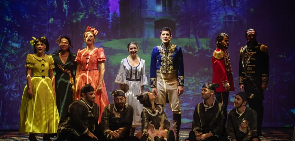 Cinderella – The Musical, la Teatrul Național de Operetă, anul viitor. FOTO: bookhub.ro