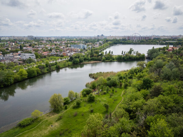 Specii rare și o nouă arie protejată: ce a adus 2025 pentru fauna Bucureștiului