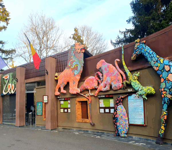 Programul Grădinii Zoologice București de Crăciun și Anul Nou