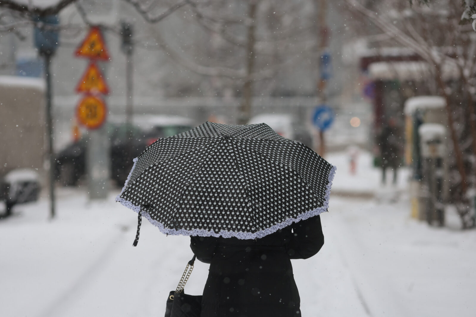 Ninsorile în București meteo vreme