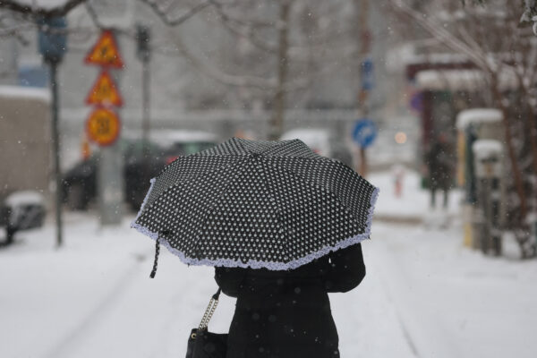 Ninsorile în București meteo vreme