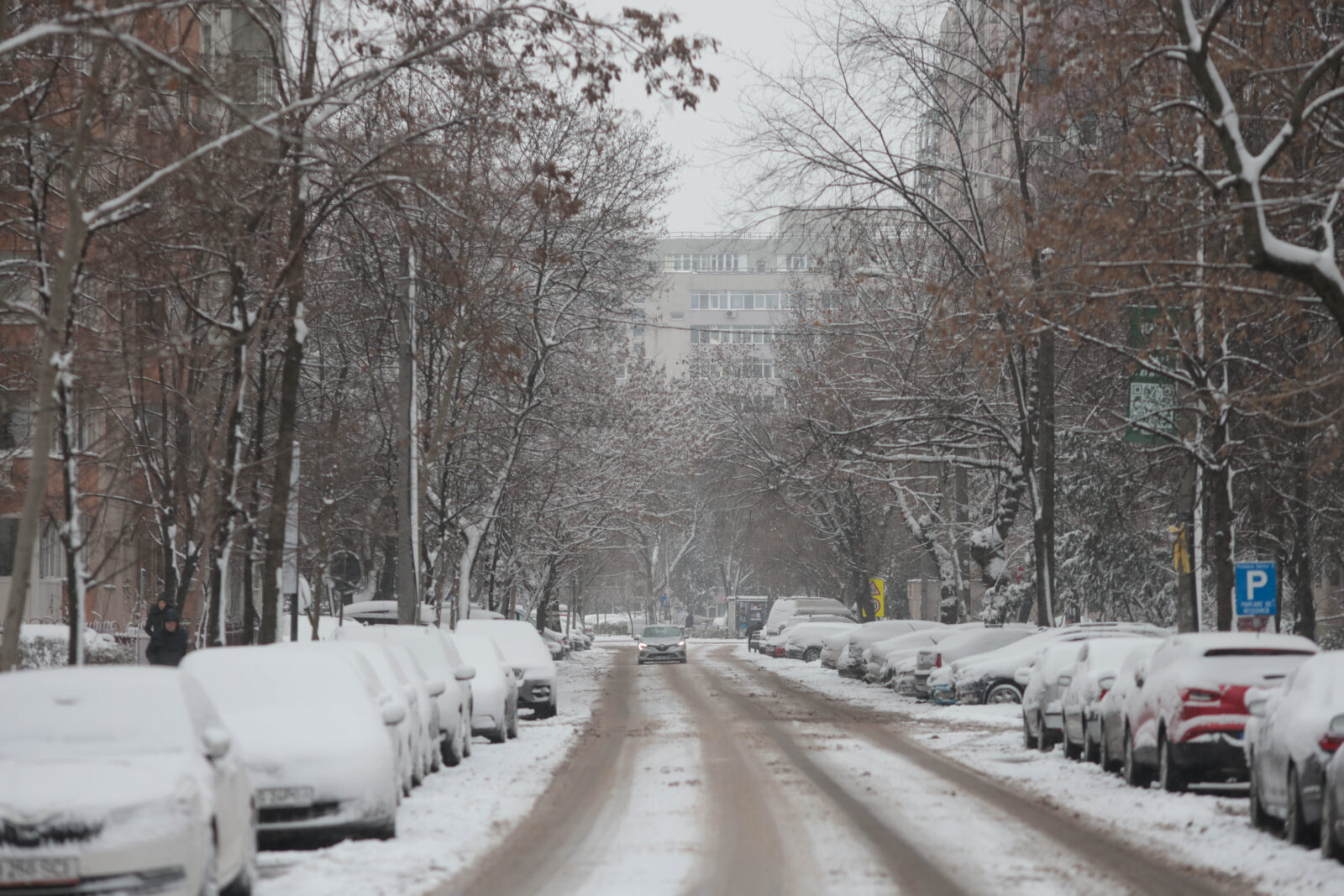 Cod galben de ger în București