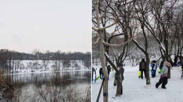 Parcul Tineretului pârtie