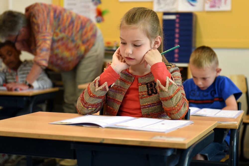 Evaluările naționale pentru pentru clasele a ÎI-a, a IV-a și a VI-a se vor desfășura în luna mai. Cum sunt organizate examenele. FOTO: edupedu.ro