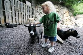„Petting zoo” în parcul Tei. Un proiect educativ se află pe masa consilierilor generali. FOTO: Wikipedia