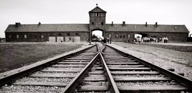 Zilele filmului „Memoria Holocaustului”, la Muzeul Țăranului Român