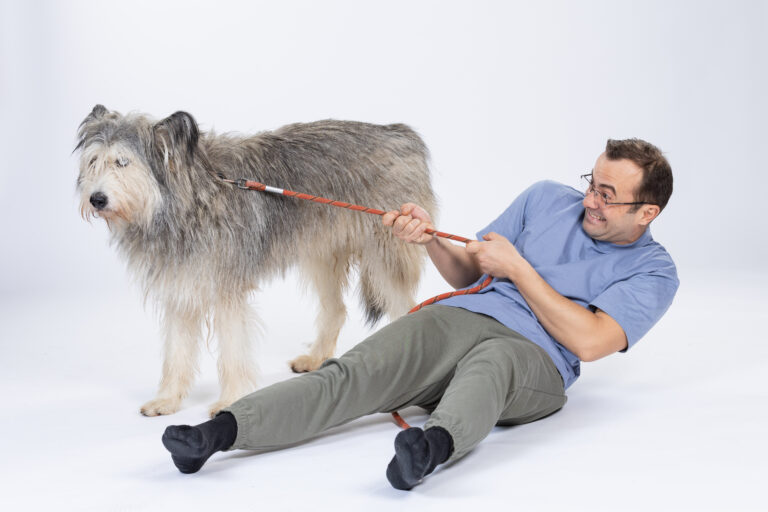 „Efectul Pufi” în Sectorul 2: Filmul românesc care încearcă să asigure prin box-office hrana animalelor din adăposturi